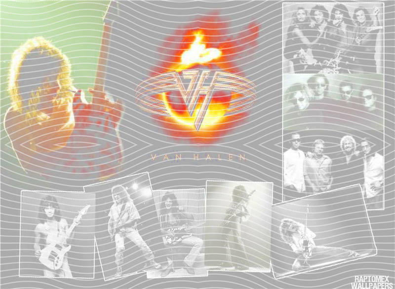 Metal band half tone-MB 275